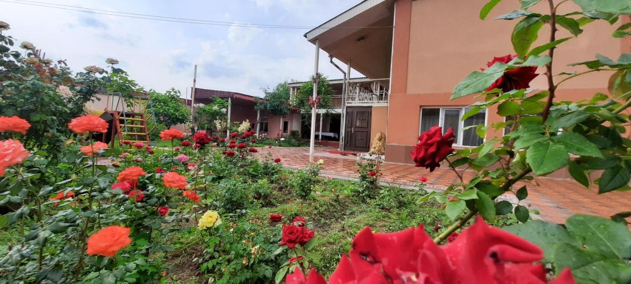 Vip Hostel Turkistan Exterior photo